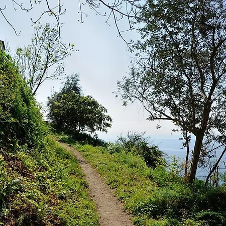 Natura Amalfi
