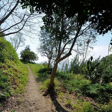 Appartamento Natura Amalfi
