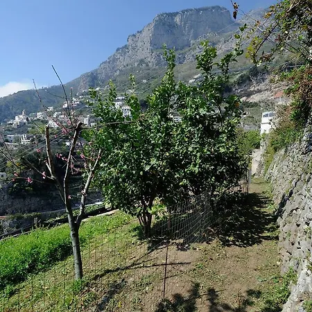 Natura * Amalfi