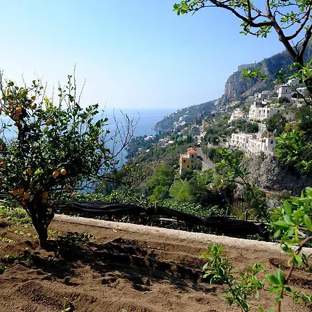Natura Amalfi