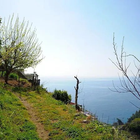 Natura Appartamento