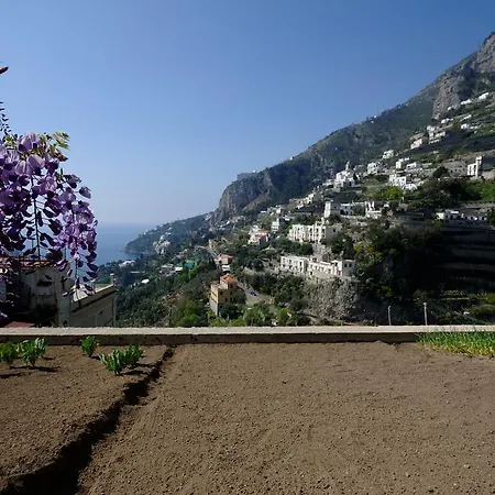 Natura * Amalfi